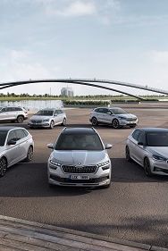 Ezüst színű SKODA modellek egy téren egy tó mellett