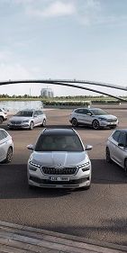 Ezüst színű SKODA modellek egy téren egy tó mellett